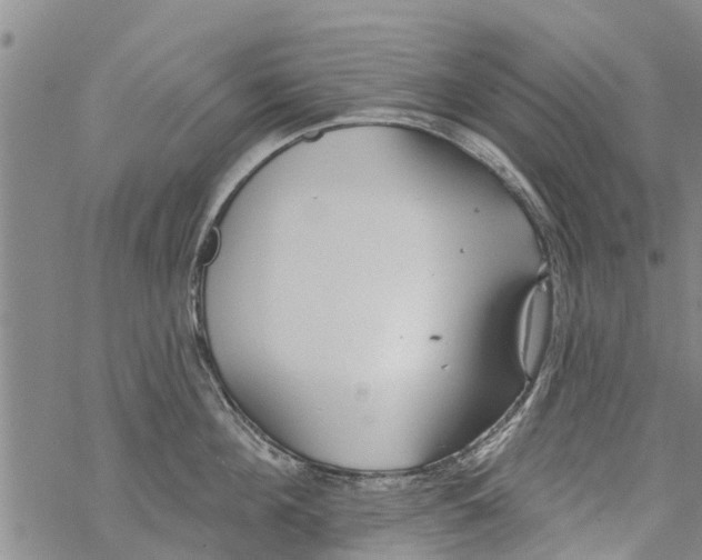 X0000068770908200605262203