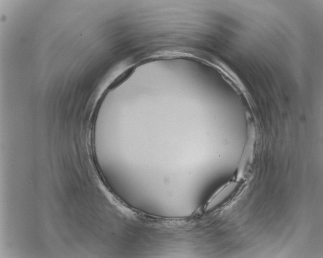 X0000068770909200605262203