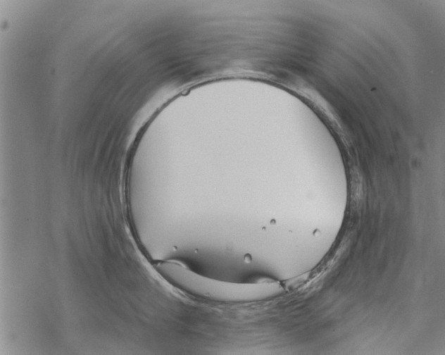 X0000068770910200605262203