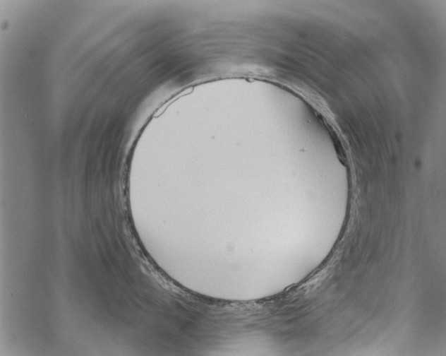 X0000068770912200605262203