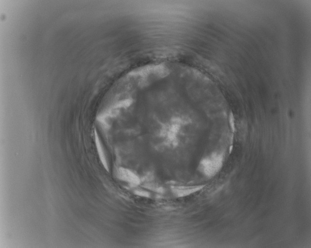 X0000068770913200605262202