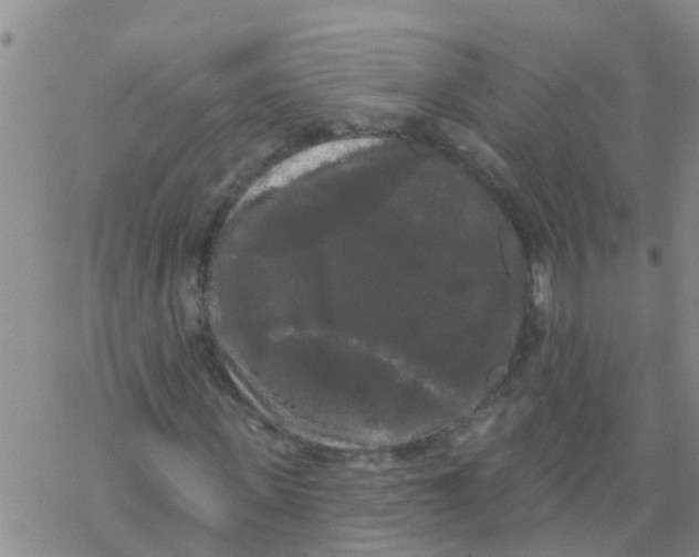 X0000068770915200605262202