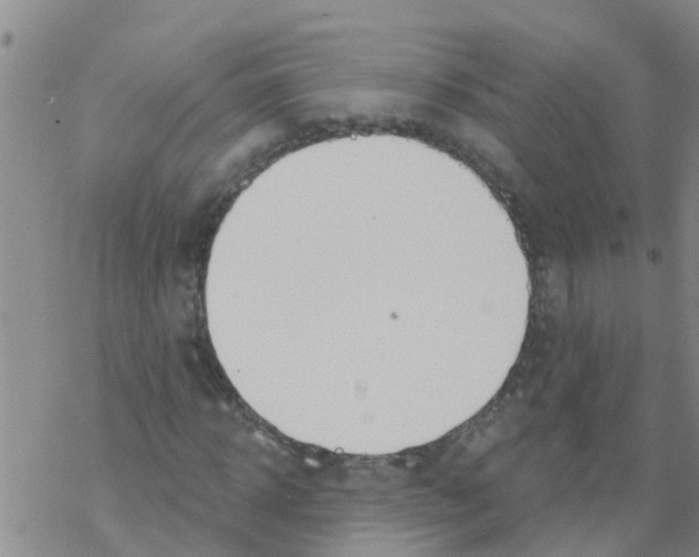 X0000068770918200605262202