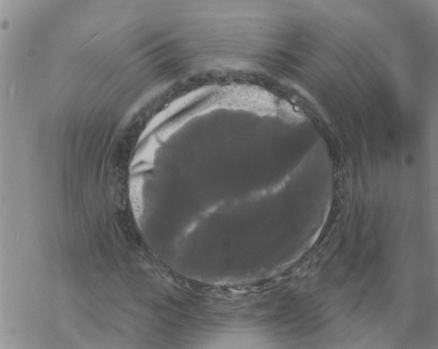 X0000068770919200605262202