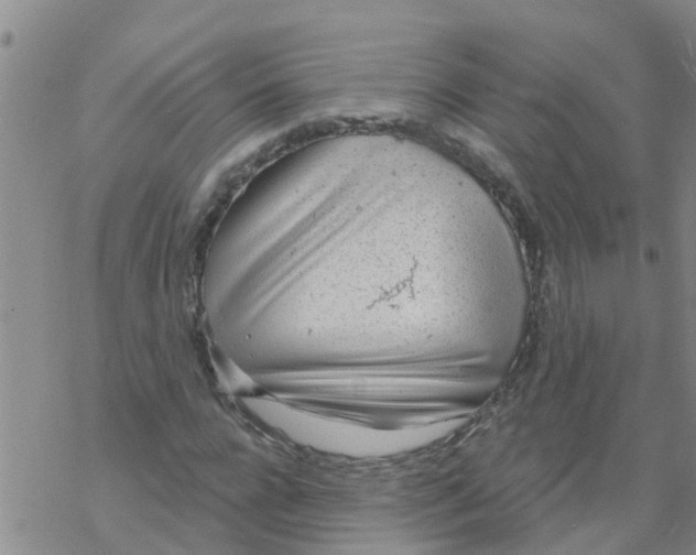 X0000068770920200605262202