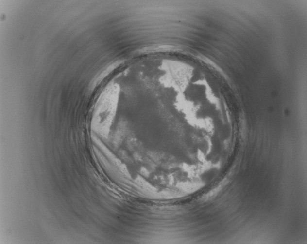 X0000068770921200605262202