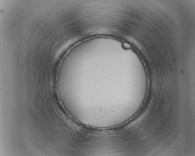 X0000068770922200605262202