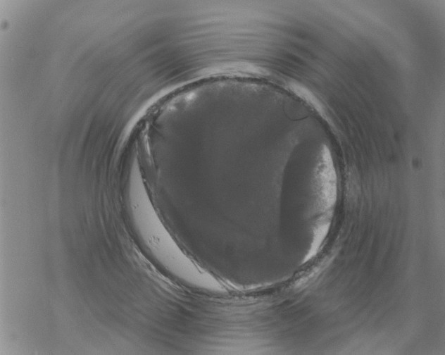 X0000068770923200605262202