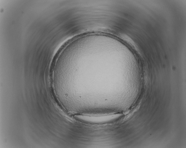 X0000068770924200605262202