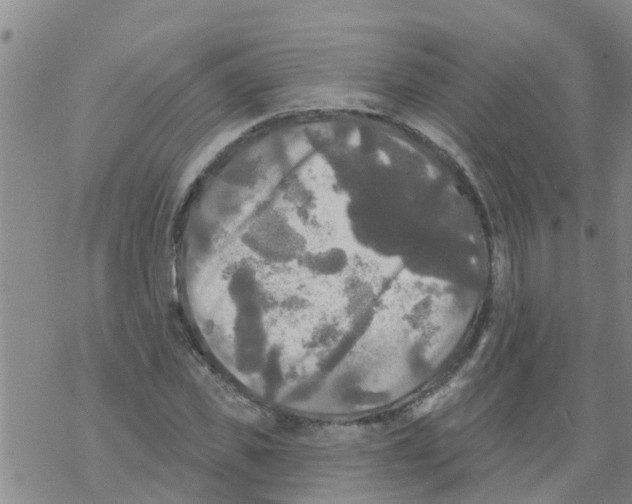 X0000068770925200605262202