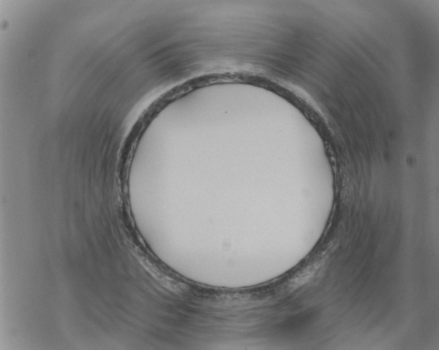 X0000068770927200605262202