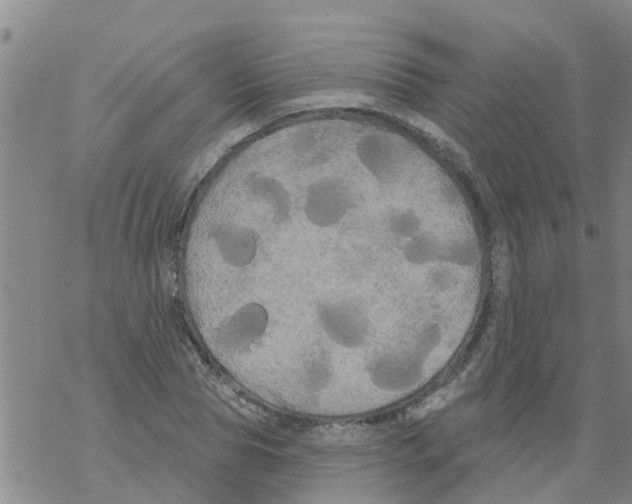 X0000068770929200605262202