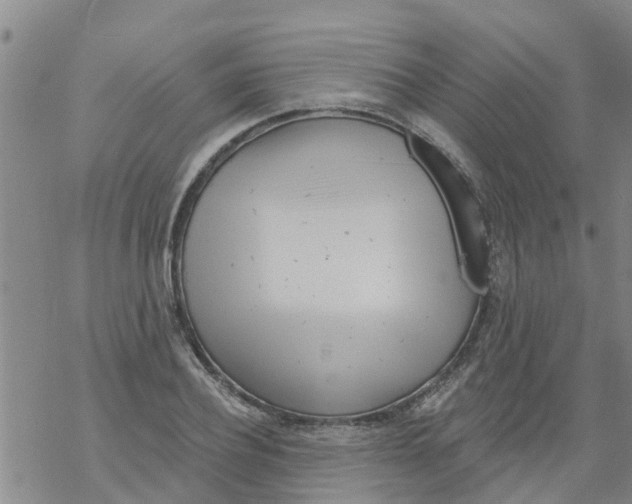 X0000068770932200605262202