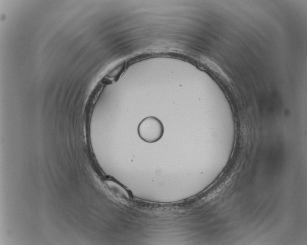 X0000068770934200605262202