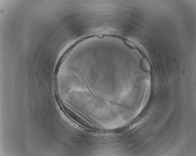 X0000068770941200605262202