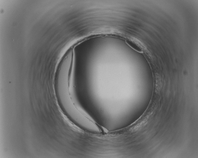 X0000068770942200605262203