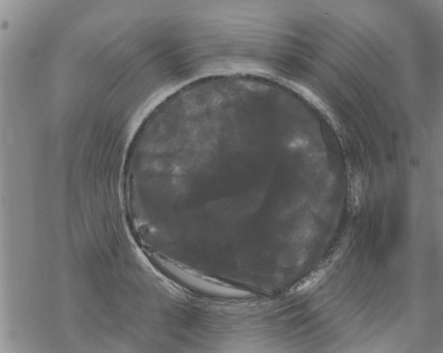 X0000068770943200605262203