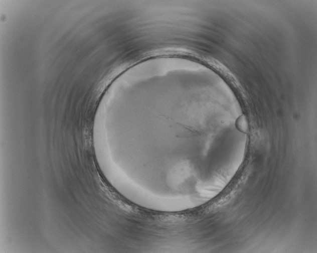 X0000068770945200605262203