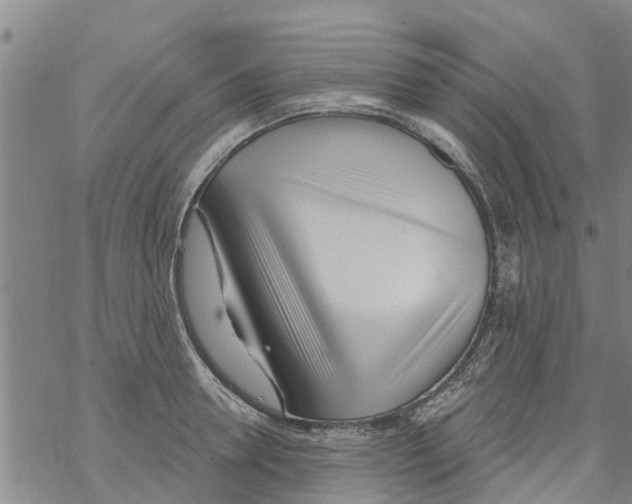 X0000068770946200605262203