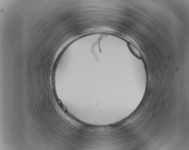 X0000068770947200605262203