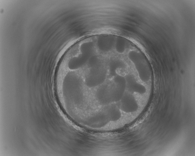 X0000068770949200605262203