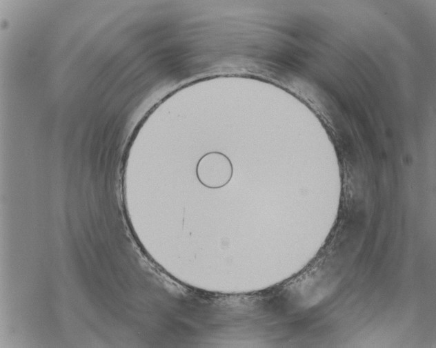 X0000068770950200605262203