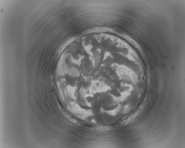 X0000068770953200605262203