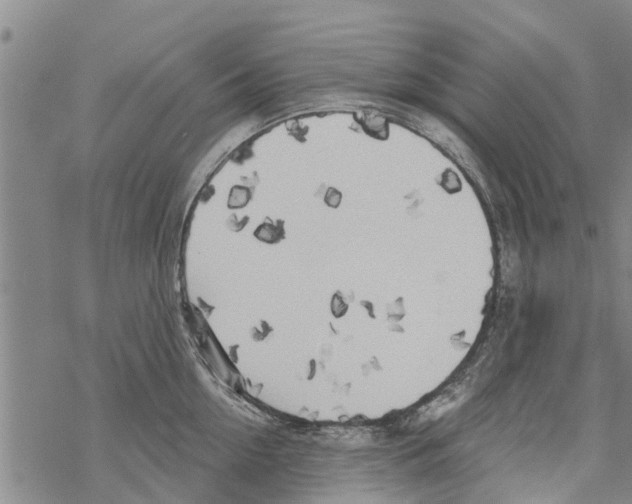 X0000068770954200605262203