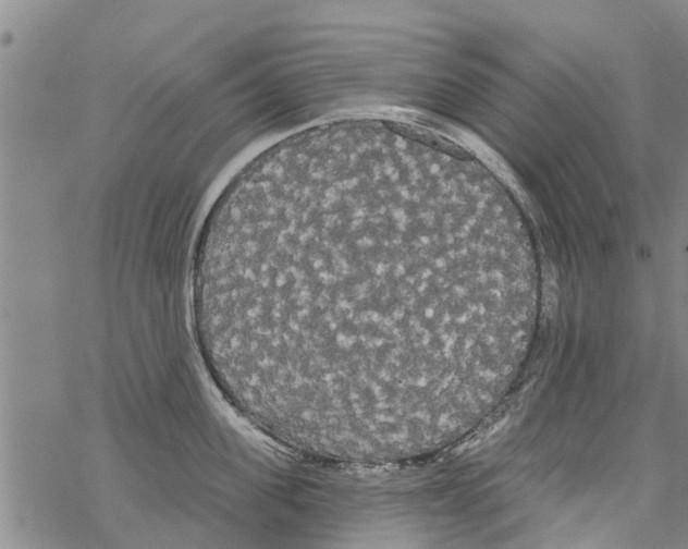 X0000068770955200605262203