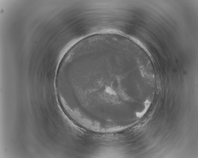 X0000068770959200605262203