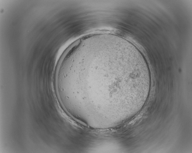 X0000068770960200605262203