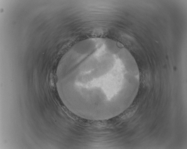 X0000068770962200605262202