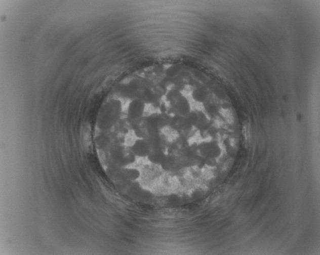 X0000068770963200605262202