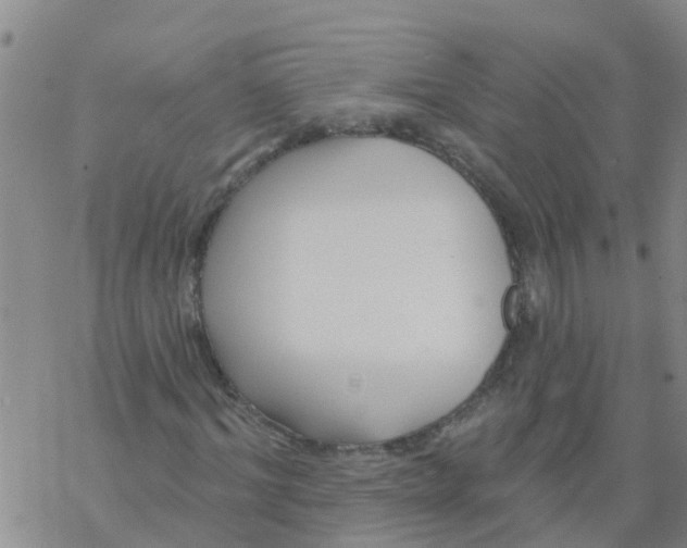 X0000068770964200605262202