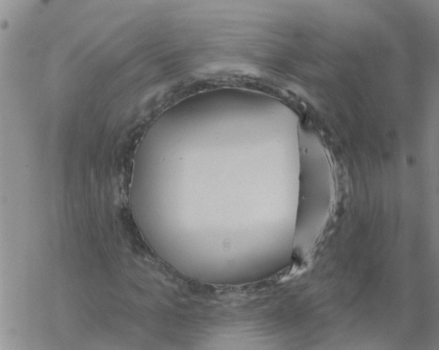 X0000068770965200605262202