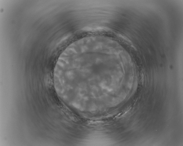 X0000068770966200605262202