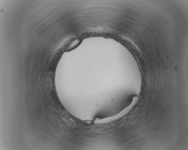 X0000068770968200605262202