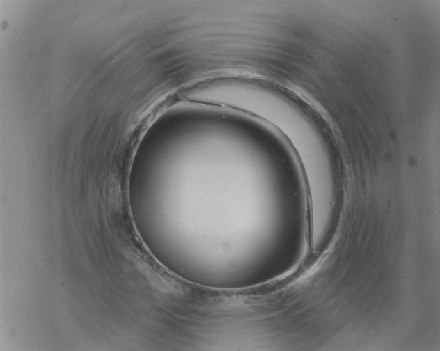 X0000068770969200605262202