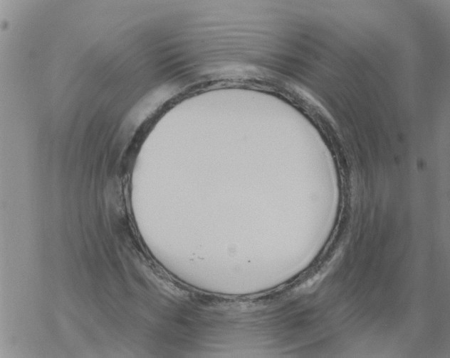 X0000068770970200605262202