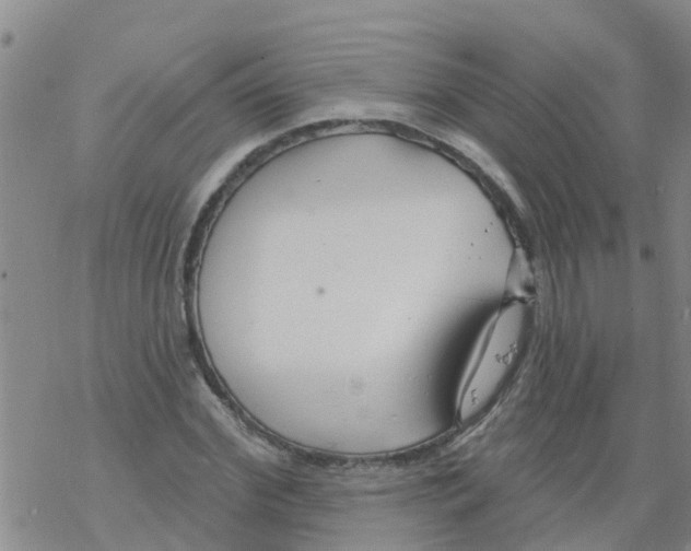 X0000068770972200605262202