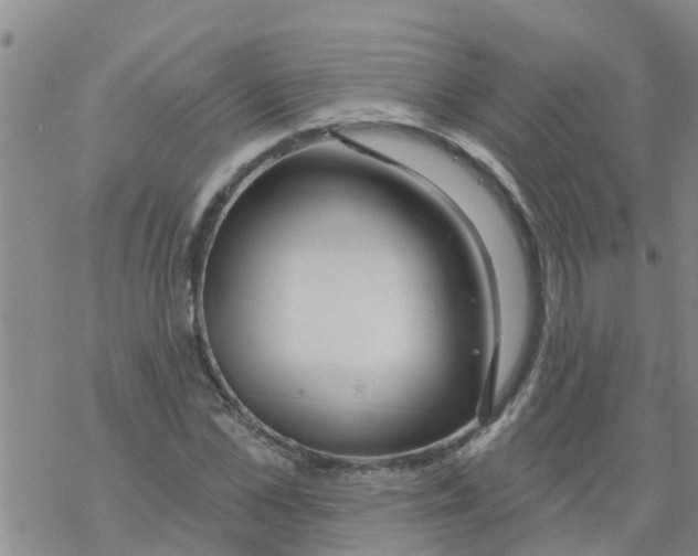 X0000068770973200605262202