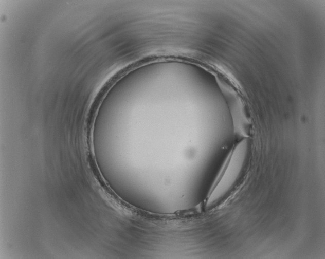 X0000068770976200605262202