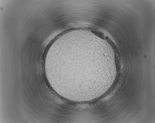 X0000068770978200605262202