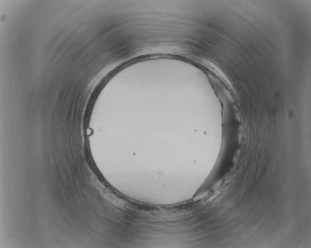 X0000068770980200605262202