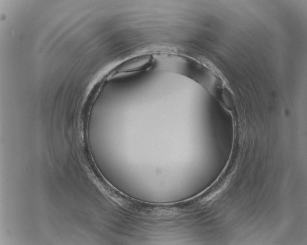 X0000068770981200605262202