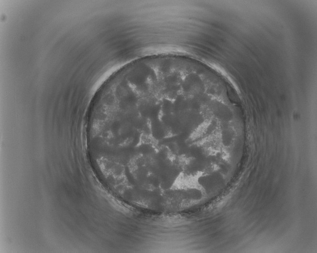 X0000068770983200605262202