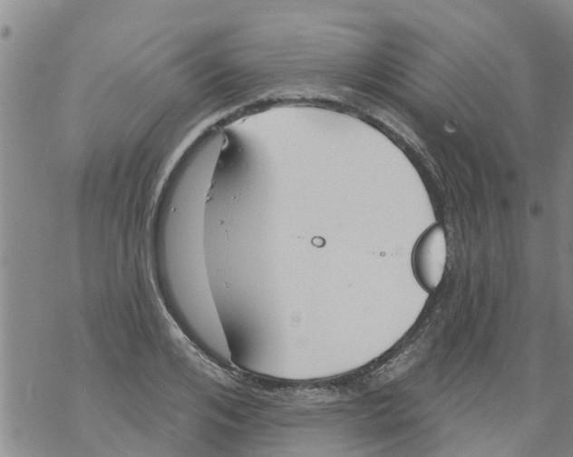 X0000068770984200605262202