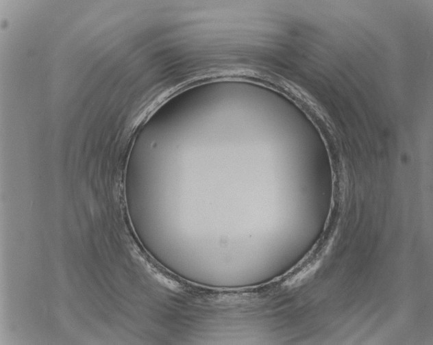 X0000068770985200605262202