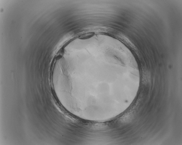 X0000068770986200605262202