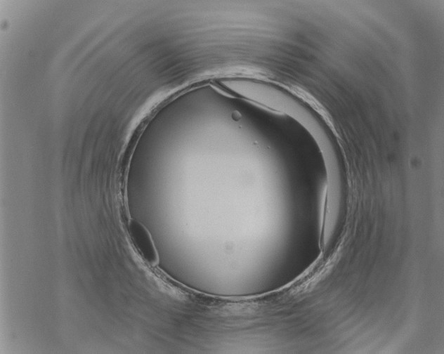 X0000068770989200605262202